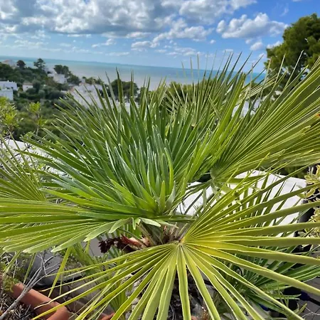 Casa vacanze Tramonti San Menaio